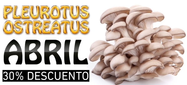 Abril, mes del Pleurotus Ostratus con un 30% de Descuento