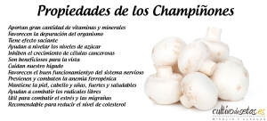 Propiedades de los champi&ntilde;ones